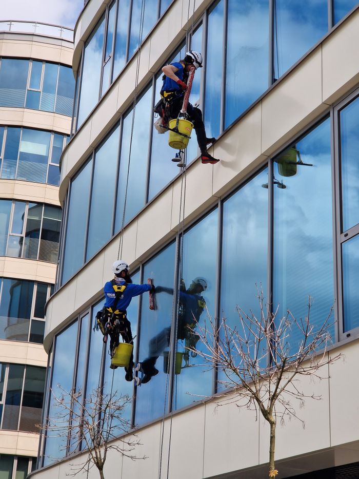 who-we-are Two window cleaners using ropes on a modern skyscraper, showcasing urban professional maintenance.